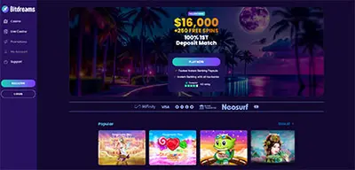 Bitdreams Casino - Official casino logo, game screenshots and promotional materials featuring welcome bonuses and game selection