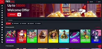 Reddog Casino online casino - Official logo, game selection screenshots, welcome bonus promotions and user interface preview